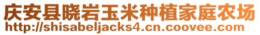 庆安县晓岩玉米种植家庭农场