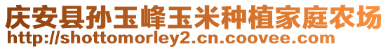 慶安縣孫玉峰玉米種植家庭農(nóng)場(chǎng)