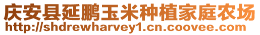 慶安縣延鵬玉米種植家庭農(nóng)場(chǎng)