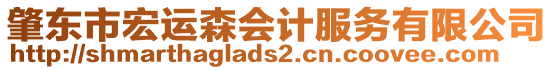 肇東市宏運森會計服務(wù)有限公司