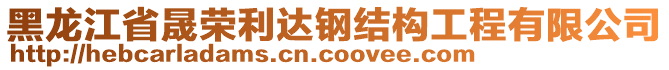 黑龍江省晟榮利達(dá)鋼結(jié)構(gòu)工程有限公司