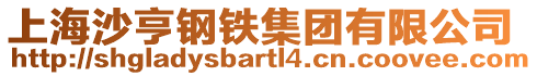 上海沙亨鋼鐵集團有限公司