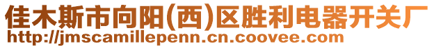 佳木斯市向陽(西)區(qū)勝利電器開關廠