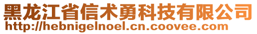 黑龍江省信術(shù)勇科技有限公司