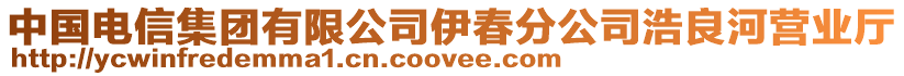 中國(guó)電信集團(tuán)有限公司伊春分公司浩良河營(yíng)業(yè)廳