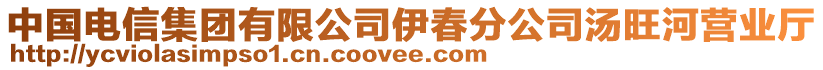 中國電信集團(tuán)有限公司伊春分公司湯旺河營業(yè)廳