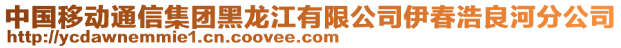 中國移動通信集團黑龍江有限公司伊春浩良河分公司