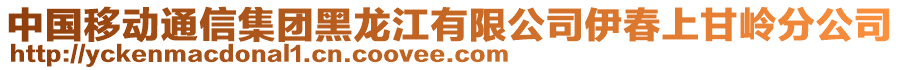 中國移動通信集團黑龍江有限公司伊春上甘嶺分公司