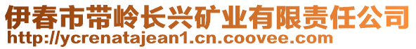 伊春市帶嶺長(zhǎng)興礦業(yè)有限責(zé)任公司