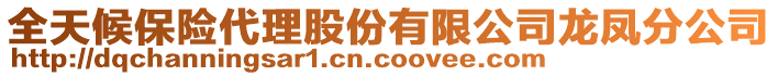 全天候保險(xiǎn)代理股份有限公司龍鳳分公司