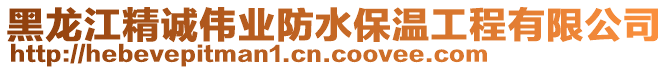 黑龍江精誠偉業(yè)防水保溫工程有限公司