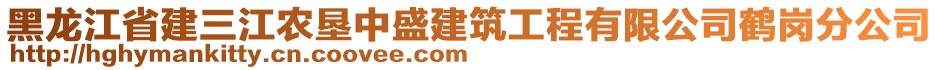 黑龍江省建三江農(nóng)墾中盛建筑工程有限公司鶴崗分公司