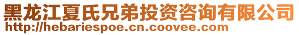 黑龍江夏氏兄弟投資咨詢有限公司