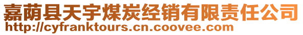 嘉蔭縣天宇煤炭經(jīng)銷有限責(zé)任公司