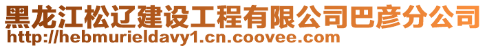 黑龍江松遼建設(shè)工程有限公司巴彥分公司