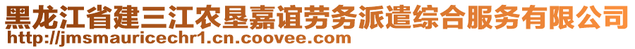 黑龍江省建三江農(nóng)墾嘉誼勞務(wù)派遣綜合服務(wù)有限公司