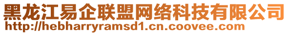 黑龍江易企聯(lián)盟網(wǎng)絡(luò)科技有限公司