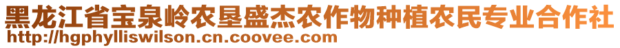 黑龍江省寶泉嶺農(nóng)墾盛杰農(nóng)作物種植農(nóng)民專業(yè)合作社