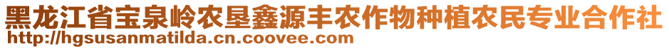 黑龍江省寶泉嶺農(nóng)墾鑫源豐農(nóng)作物種植農(nóng)民專業(yè)合作社