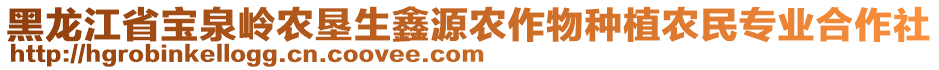 黑龍江省寶泉嶺農(nóng)墾生鑫源農(nóng)作物種植農(nóng)民專業(yè)合作社