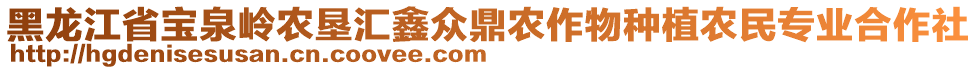 黑龍江省寶泉嶺農(nóng)墾匯鑫眾鼎農(nóng)作物種植農(nóng)民專業(yè)合作社