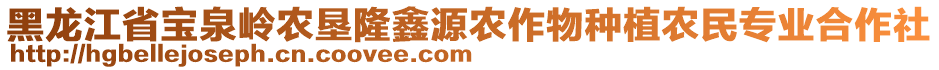 黑龍江省寶泉嶺農(nóng)墾隆鑫源農(nóng)作物種植農(nóng)民專業(yè)合作社