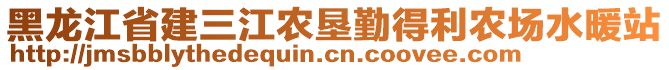 黑龍江省建三江農(nóng)墾勤得利農(nóng)場水暖站