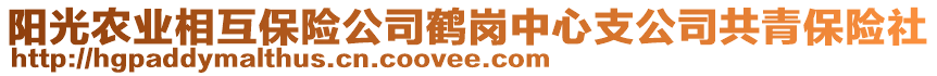 陽(yáng)光農(nóng)業(yè)相互保險(xiǎn)公司鶴崗中心支公司共青保險(xiǎn)社