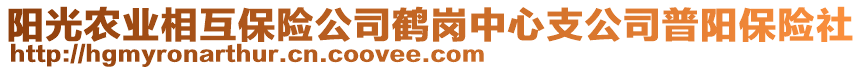 阳光农业相互保险公司鹤岗中心支公司普阳保险社