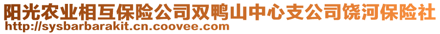 陽光農(nóng)業(yè)相互保險公司雙鴨山中心支公司饒河保險社