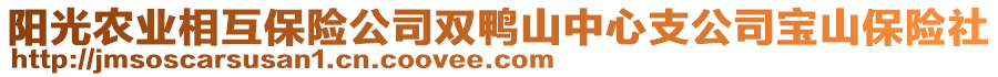 陽(yáng)光農(nóng)業(yè)相互保險(xiǎn)公司雙鴨山中心支公司寶山保險(xiǎn)社