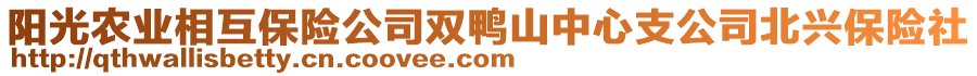 陽(yáng)光農(nóng)業(yè)相互保險(xiǎn)公司雙鴨山中心支公司北興保險(xiǎn)社