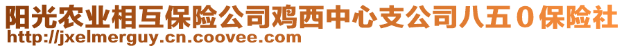 阳光农业相互保险公司鸡西中心支公司八五０保险社