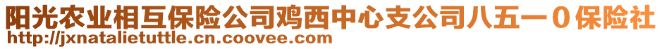 陽光農業(yè)相互保險公司雞西中心支公司八五一０保險社