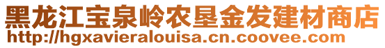 黑龍江寶泉嶺農(nóng)墾金發(fā)建材商店