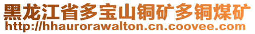 黑龍江省多寶山銅礦多銅煤礦