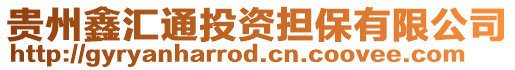 貴州鑫匯通投資擔(dān)保有限公司