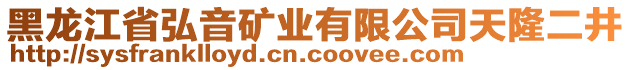 黑龍江省弘音礦業(yè)有限公司天隆二井