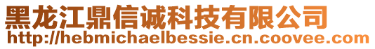 黑龍江鼎信誠科技有限公司