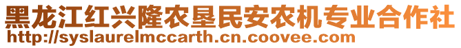 黑龍江紅興隆農(nóng)墾民安農(nóng)機專業(yè)合作社