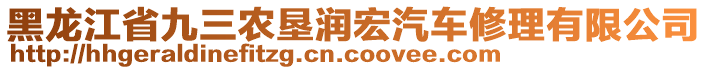 黑龍江省九三農(nóng)墾潤宏汽車修理有限公司