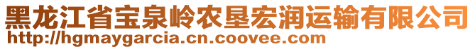 黑龍江省寶泉嶺農(nóng)墾宏潤運輸有限公司