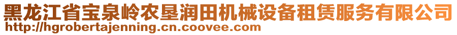 黑龍江省寶泉嶺農(nóng)墾潤田機械設(shè)備租賃服務(wù)有限公司