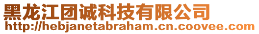 黑龍江團(tuán)誠(chéng)科技有限公司