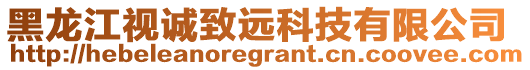 黑龍江視誠致遠科技有限公司