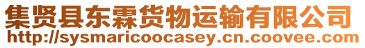 集賢縣東霖貨物運輸有限公司