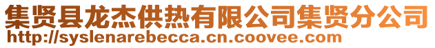 集賢縣龍杰供熱有限公司集賢分公司