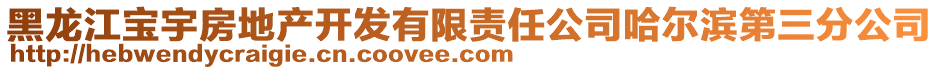 黑龍江寶宇房地產(chǎn)開發(fā)有限責(zé)任公司哈爾濱第三分公司