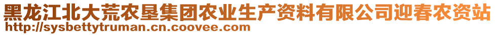 黑龍江北大荒農(nóng)墾集團農(nóng)業(yè)生產(chǎn)資料有限公司迎春農(nóng)資站