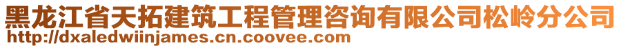 黑龙江省天拓建筑工程管理咨询有限公司松岭分公司